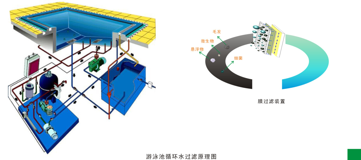 游泳池水循(xún)环净化(huà)处理工(gōng)程